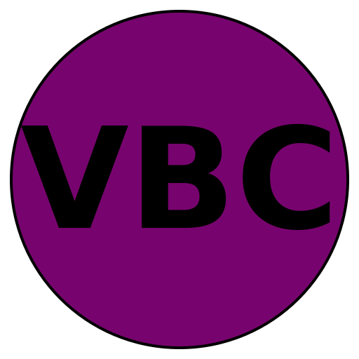 Visionary Beauty Co.